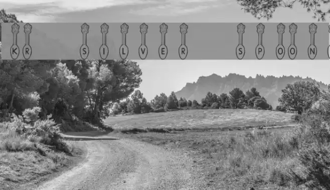 KR Silver Spoons Font examples