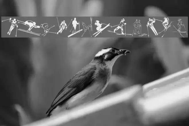 KR Ski Font examples