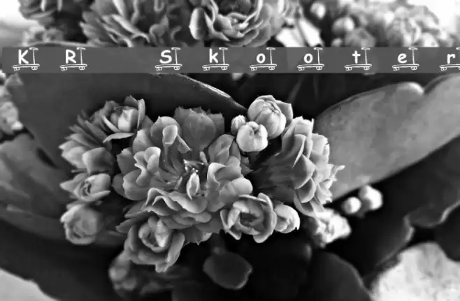 KR Skooter Font examples