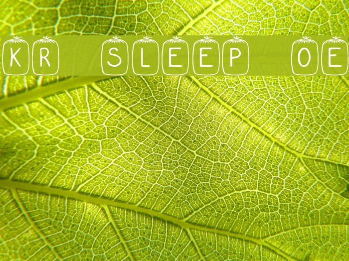 KR Sleep Over Font examples