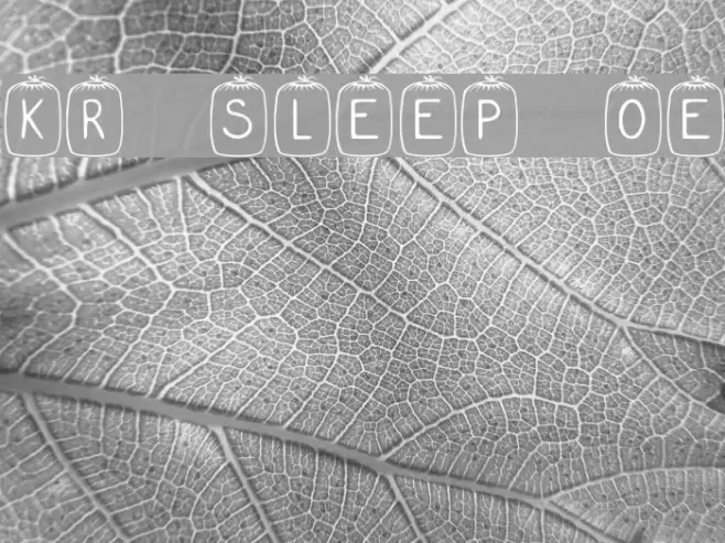KR Sleep Over Font examples