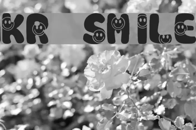 KR Smile Caratteri examples