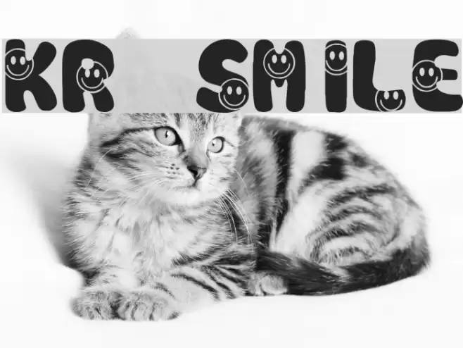 KR Smile Caratteri examples