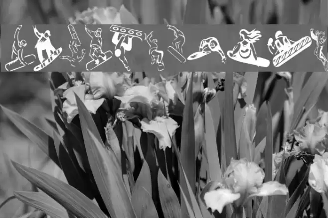 KR Snowboard Polices examples