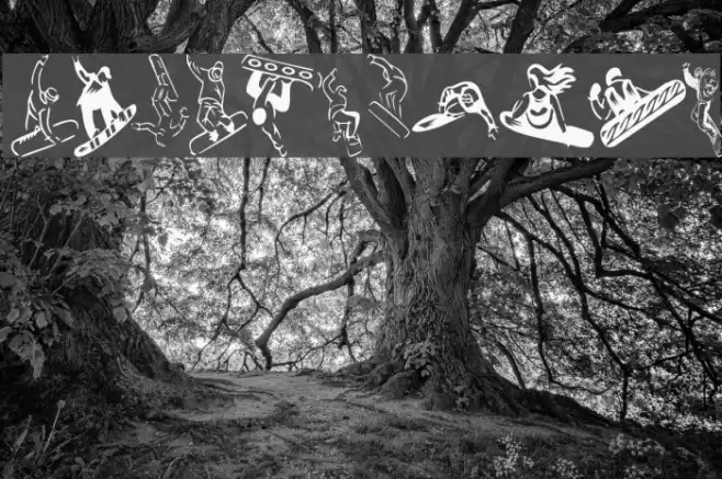 KR Snowboard Polices examples