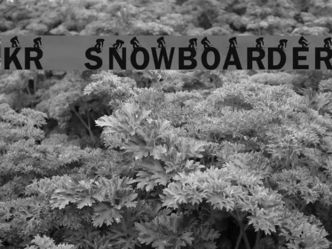 KR Snowboarder Font examples