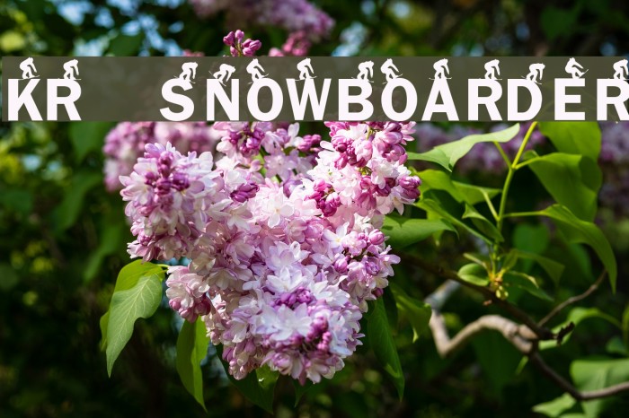KR Snowboarder Font examples