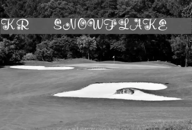 KR Snowflake 2 Font examples