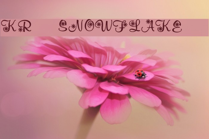 KR Snowflake 2 Шрифта examples