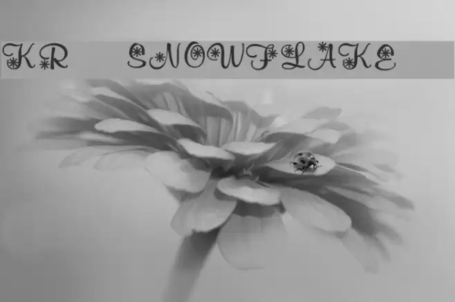 KR Snowflake 2 Font examples
