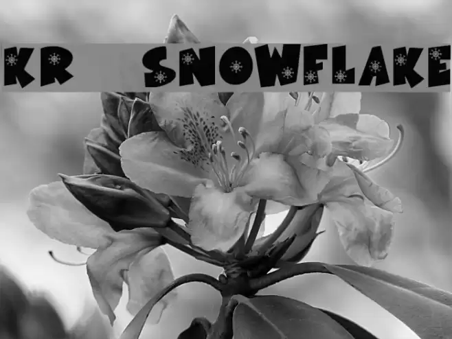 KR Snowflake Font examples