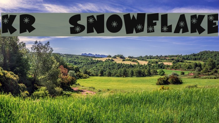 KR Snowflake Font examples