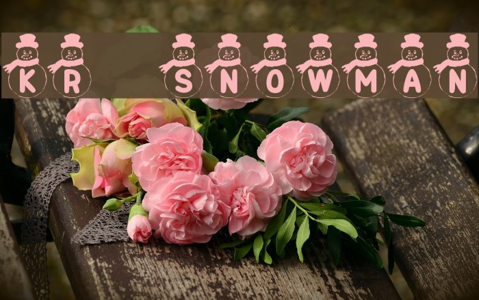 KR Snowman Font examples