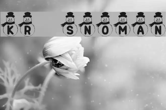 KR Snowman Шрифта examples