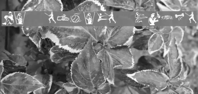 KR Sports Dings Font examples