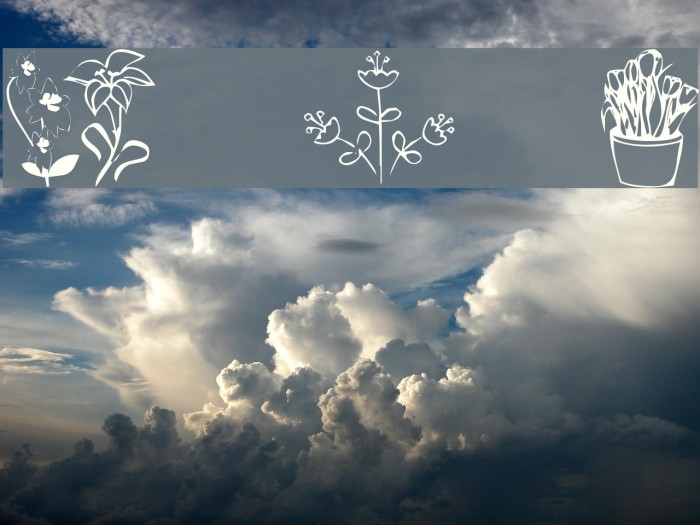 KR Spring Me Example 1