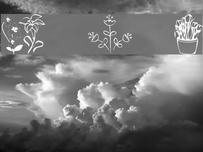 KR Spring Me Font examples