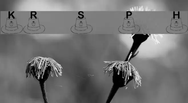 KR St. Patty's Hat Font examples