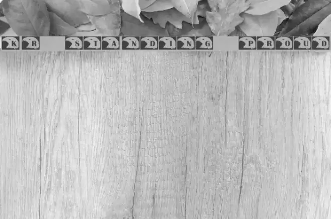 KR Standing Proud Font examples