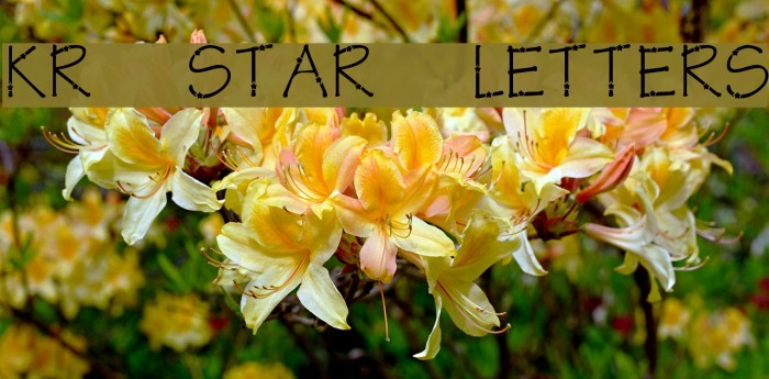 KR Star Letters Font examples