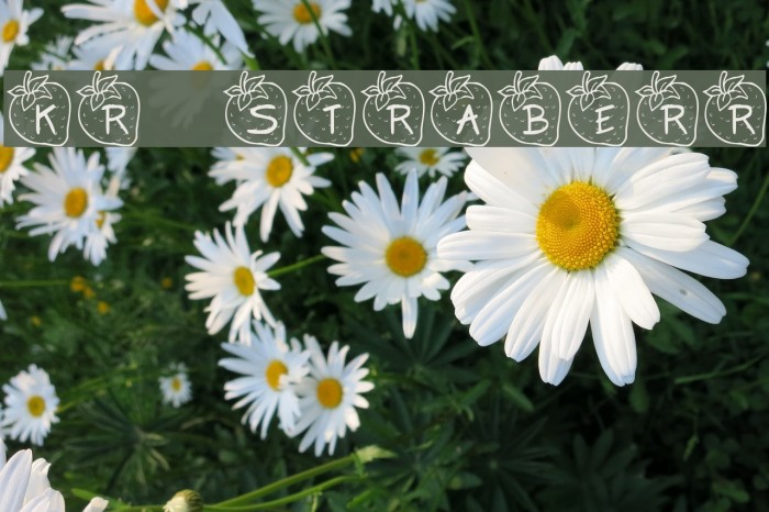KR Strawberry Font examples