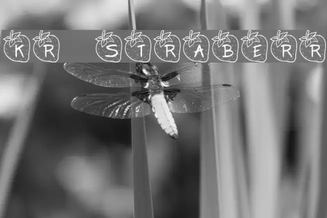 KR Strawberry examples