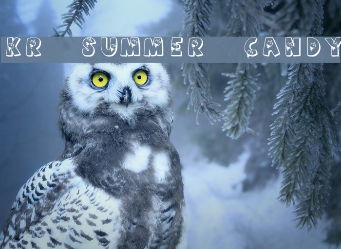 KR Summer Candy Font examples