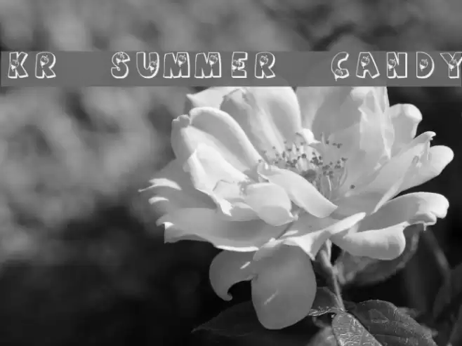 KR Summer Candy Polices examples
