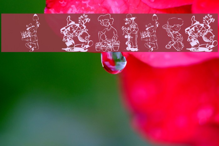 KR Summer Gardening Шрифта examples