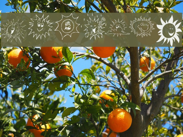 KR Sun Dings Font examples