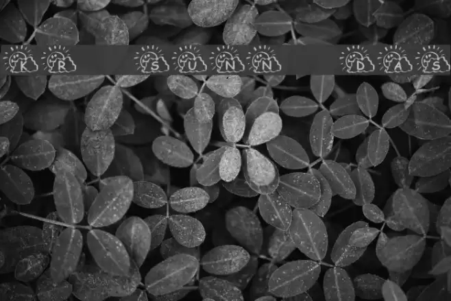 KR Sunny Days Font examples