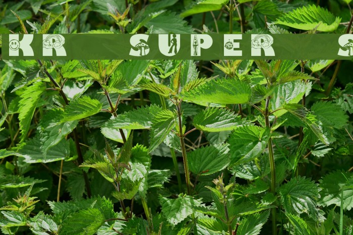 KR Super 70's Font examples