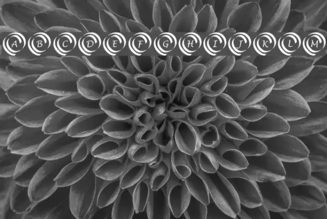 KR Swirl Schriftart examples