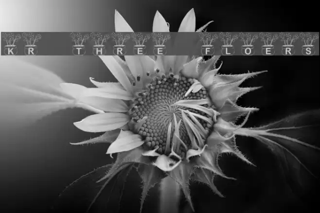 KR Three Flowers Font examples