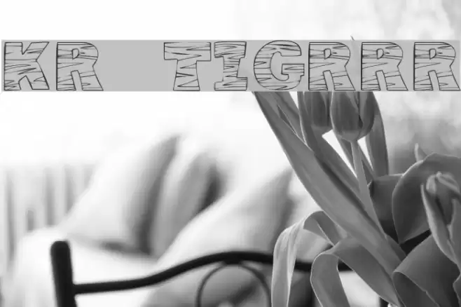 KR Tigrrr Font examples