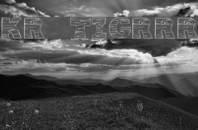 KR Tigrrr Font examples
