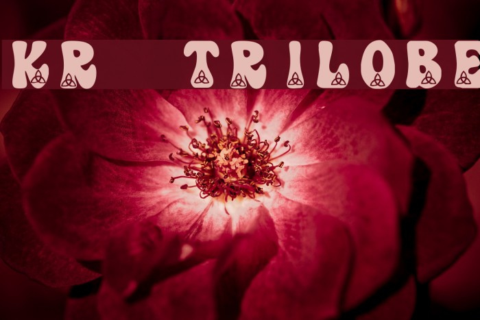 KR Trilobe Font examples