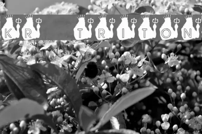 KR Triton Font examples