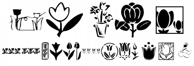 KR Tulips Fuentes MINÚSCULAS