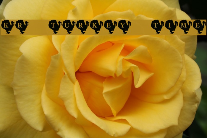 KR Turkey Time Font examples