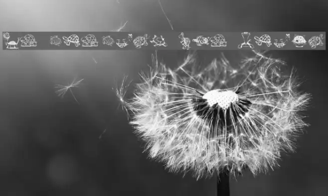 KR Turtles For Julie Font examples