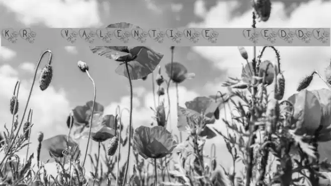 KR Valentine Teddy Font examples