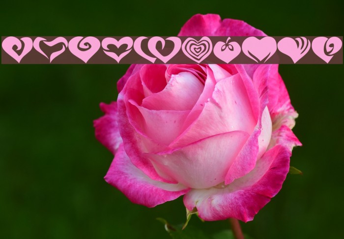 KR Valentines 2006 Two Font examples