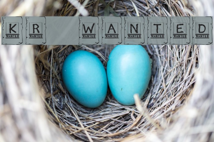 KR Wanted! Font examples