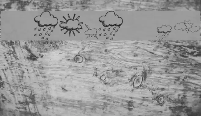 KR Weather Dings Polices examples