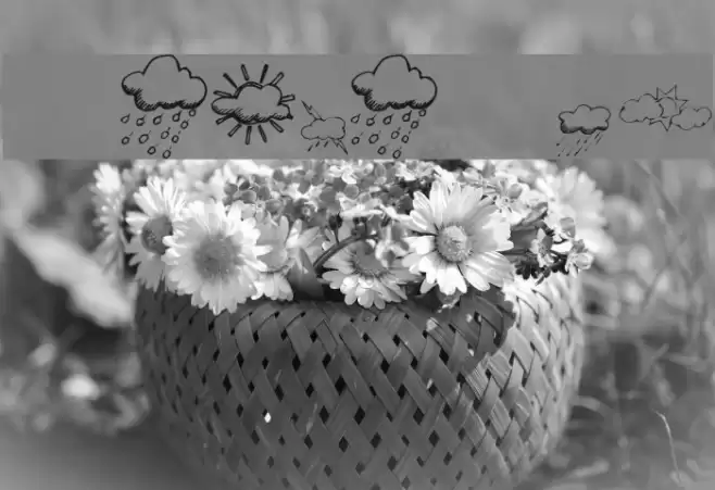 KR Weather Dings Polices examples