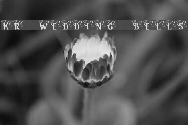 KR Wedding Bells Font examples