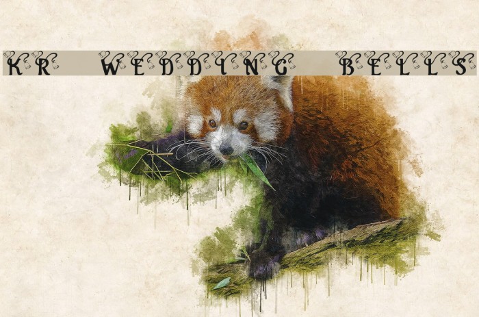 KR Wedding Bells Font examples