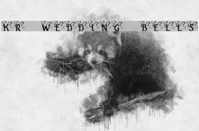 KR Wedding Bells Font examples