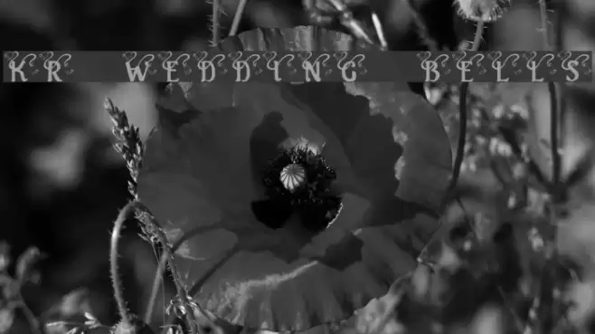 KR Wedding Bells Font examples